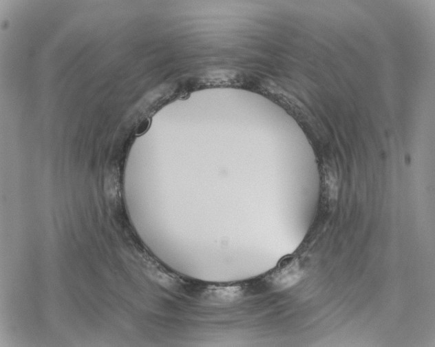 X0000078260665200611251330