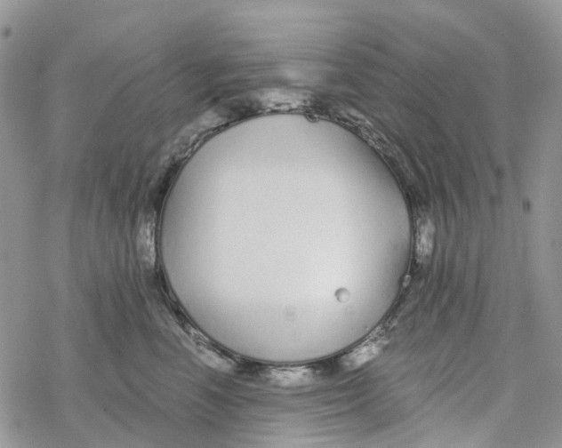 X0000078260666200611251330