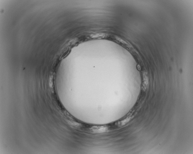 X0000078260667200611251330