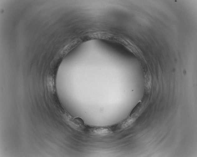 X0000078260669200611251330