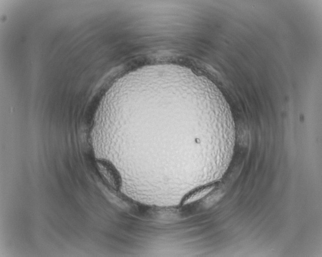 X0000078260670200611251330