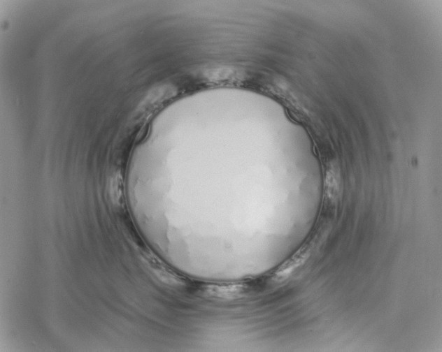 X0000078260671200611251330