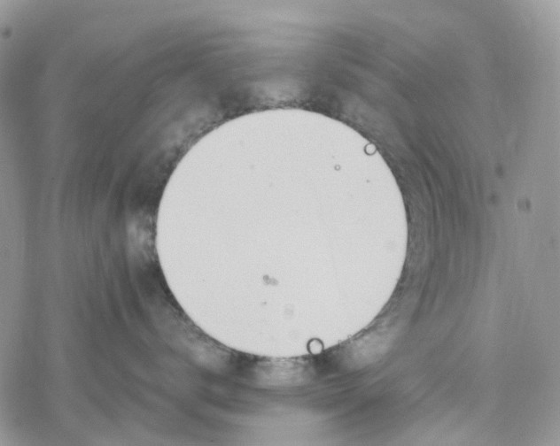 X0000078260672200611251330