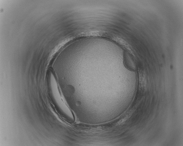 X0000078260674200611251329