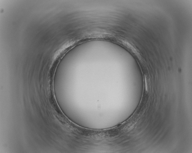 X0000078260675200611251329