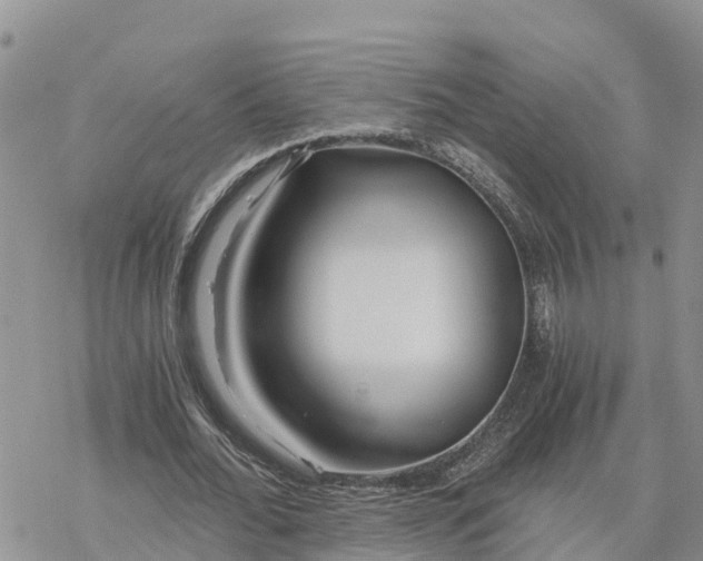 X0000078260676200611251329