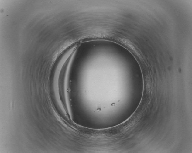 X0000078260677200611251329