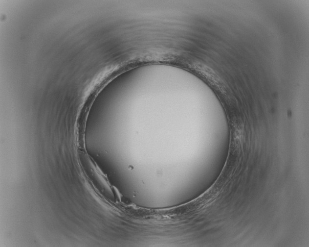 X0000078260678200611251329