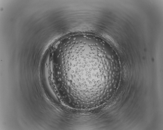 X0000078260680200611251329