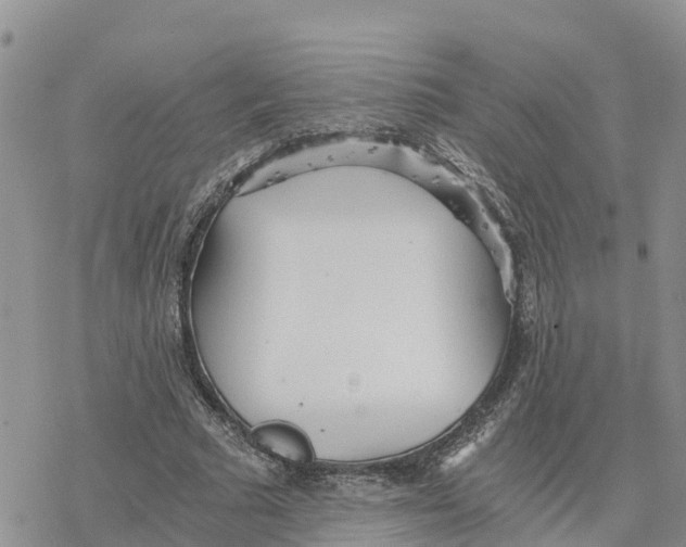 X0000078260681200611251329