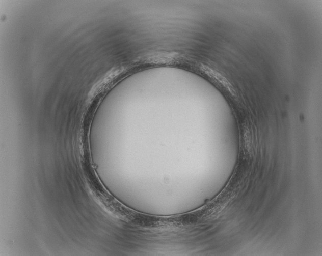 X0000078260682200611251329