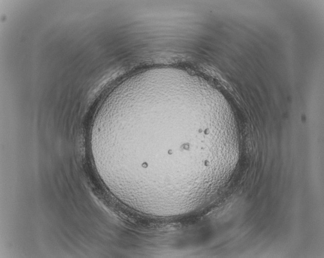 X0000078260683200611251329