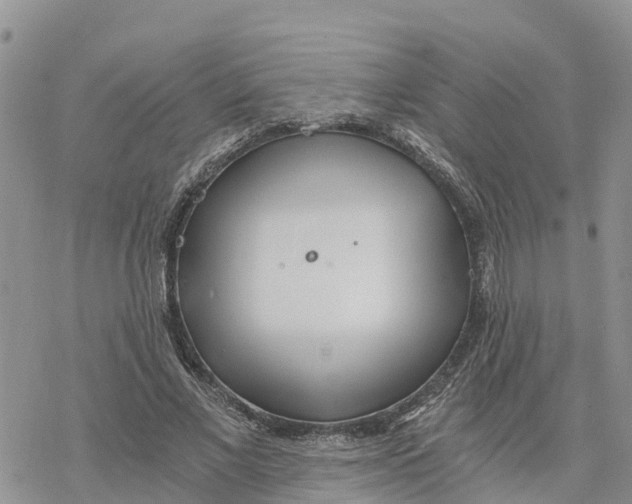 X0000078260685200611251329