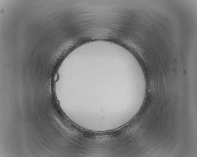 X0000078260686200611251329