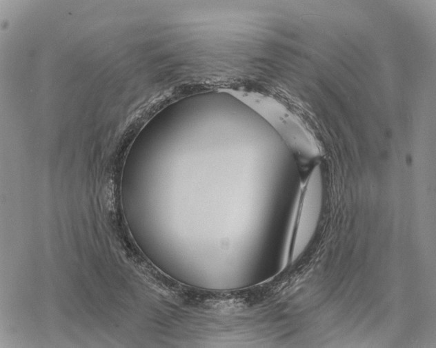 X0000078260689200611251329