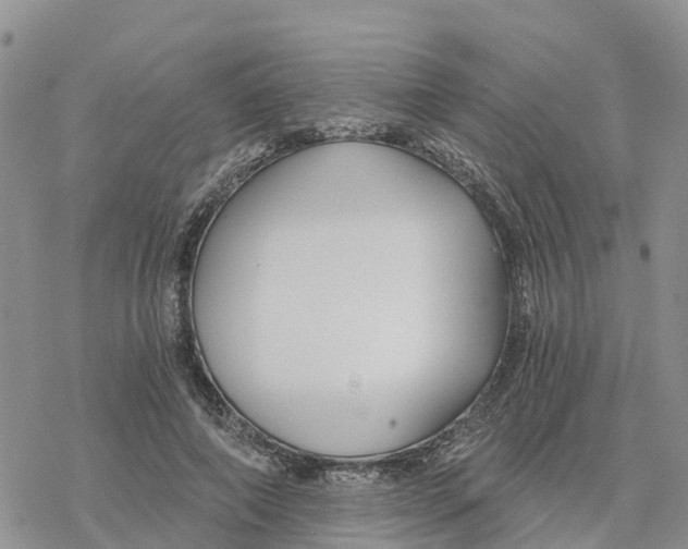 X0000078260690200611251329