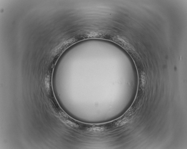 X0000078260691200611251329