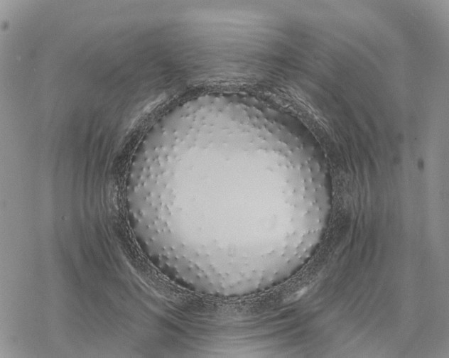 X0000078260692200611251329