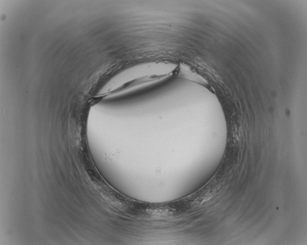 X0000078260693200611251329