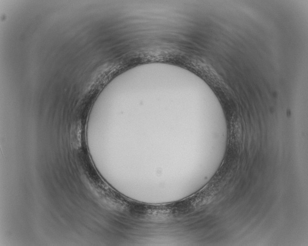 X0000078260694200611251329