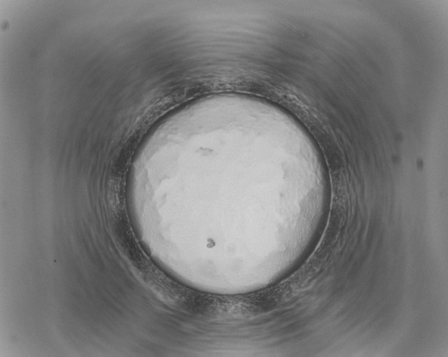 X0000078260695200611251329