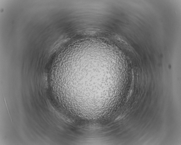 X0000078260696200611251329