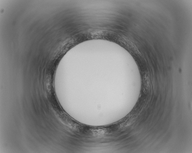 X0000078260698200611251329