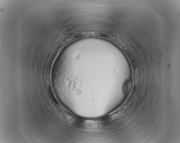 X0000078260699200611251329