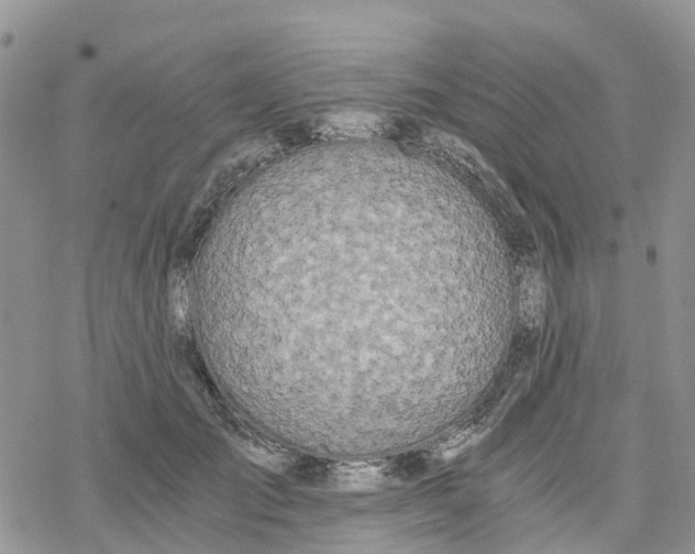 X0000078260701200611251329