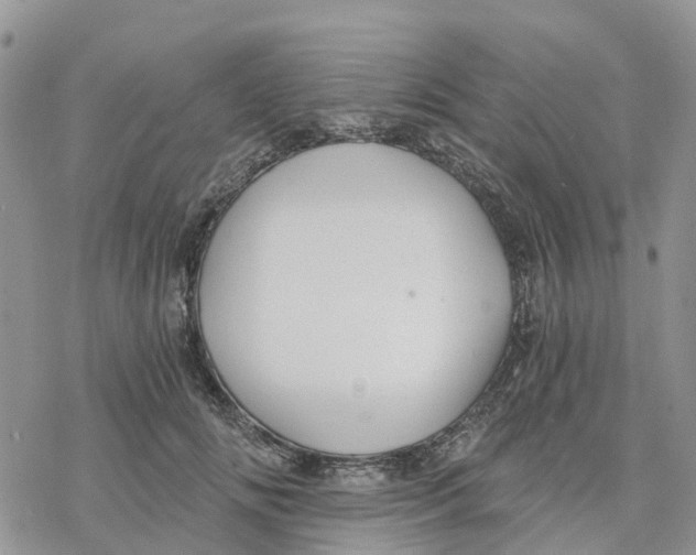 X0000078260702200611251329