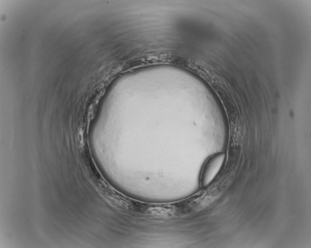 X0000078260703200611251329