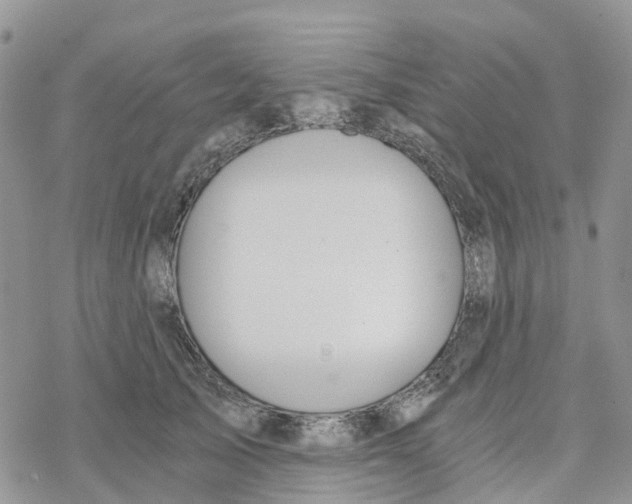 X0000078260705200611251329