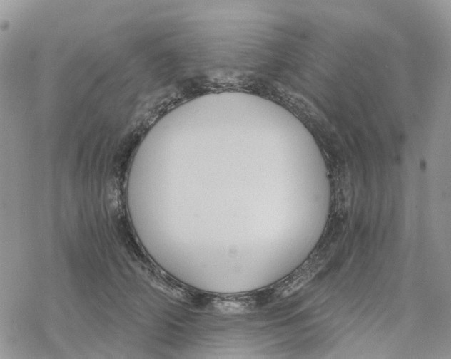 X0000078260706200611251329