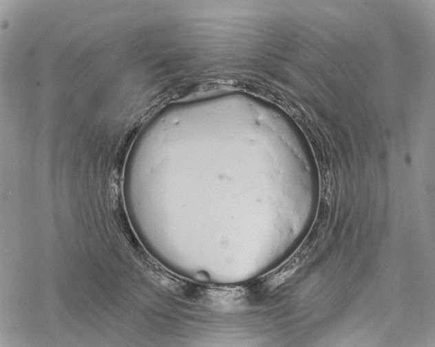 X0000078260707200611251329