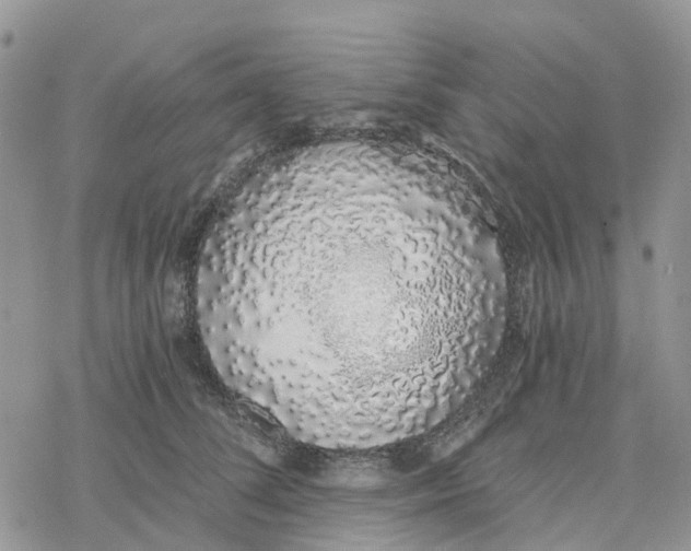 X0000078260708200611251329