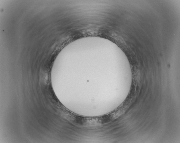 X0000078260709200611251329