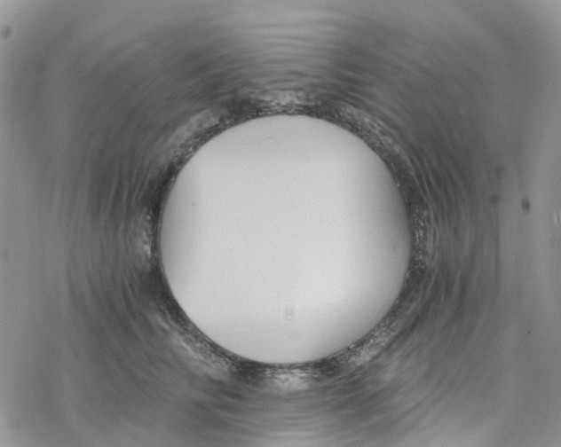 X0000078260710200611251329