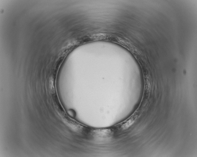 X0000078260711200611251329