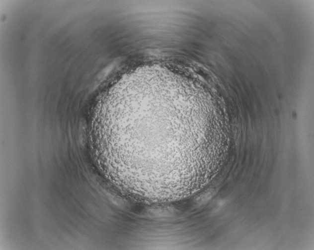 X0000078260712200611251329