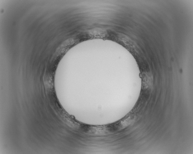 X0000078260713200611251328