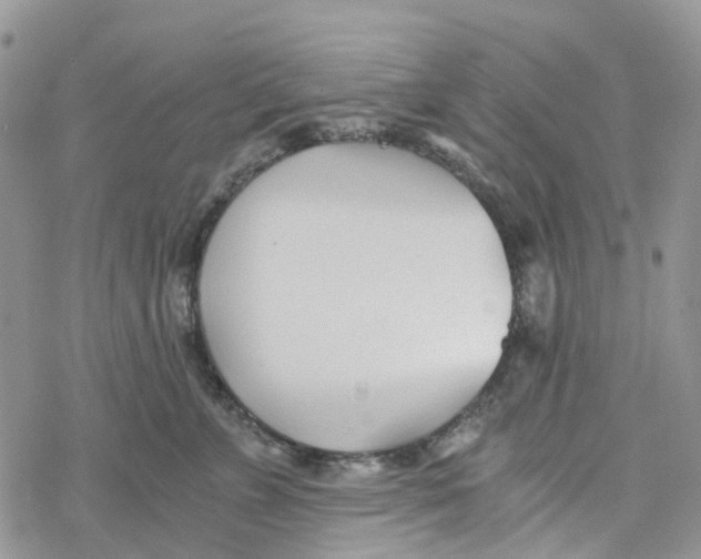 X0000078260715200611251328