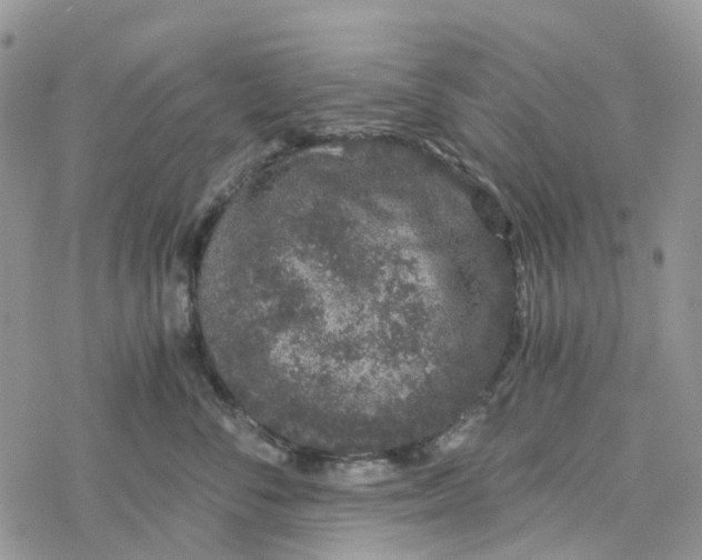 X0000078260716200611251328