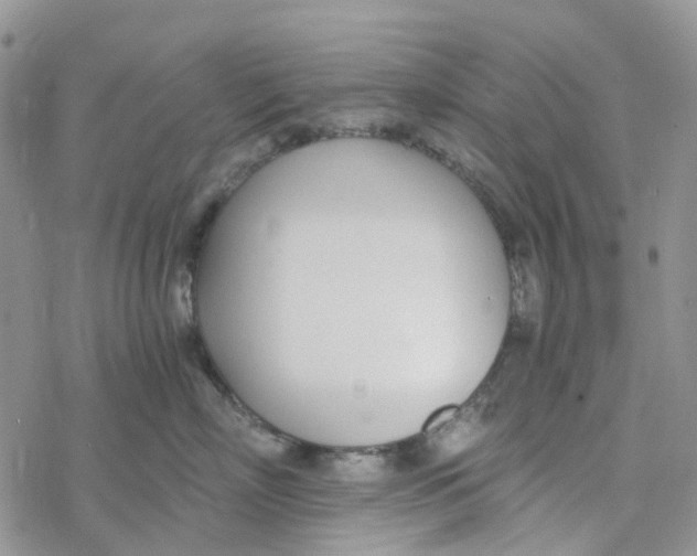 X0000078260718200611251328