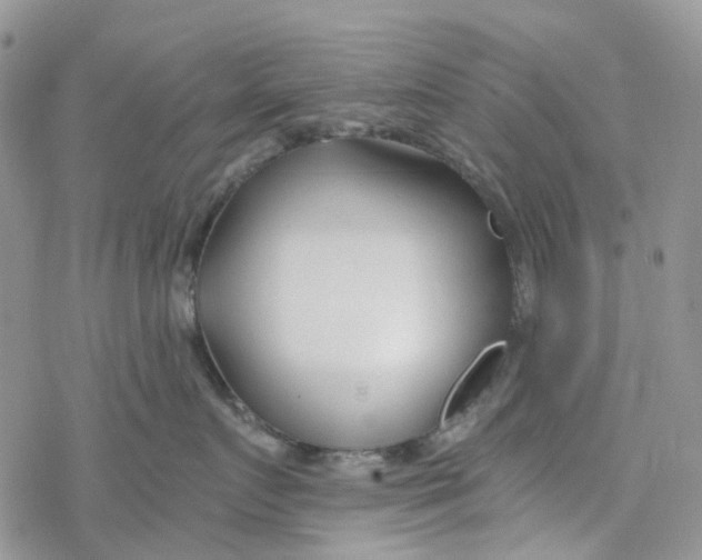 X0000078260719200611251328