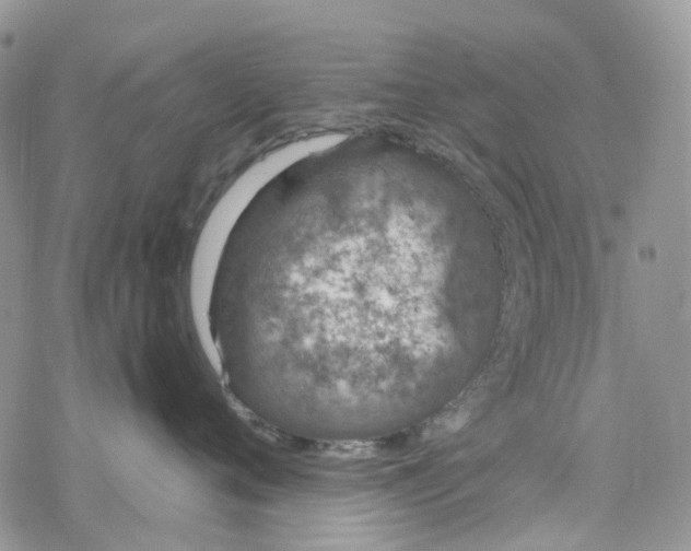 X0000078260720200611251328