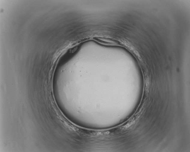 X0000078260721200611251328