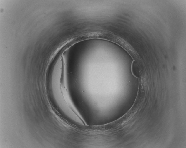 X0000078260722200611251328