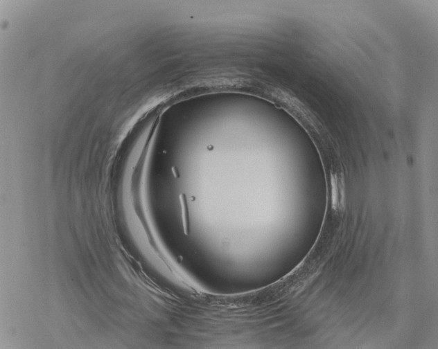 X0000078260723200611251328