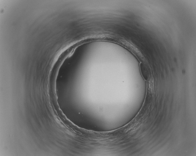 X0000078260724200611251328