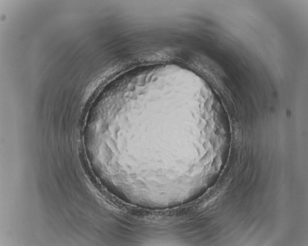 X0000078260725200611251328